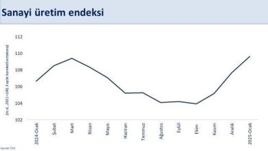 bakan simsek sanayi uretimine yillik bazda pozitif katki saglayan sektor sayisi artti 7470b3c3e39f |
