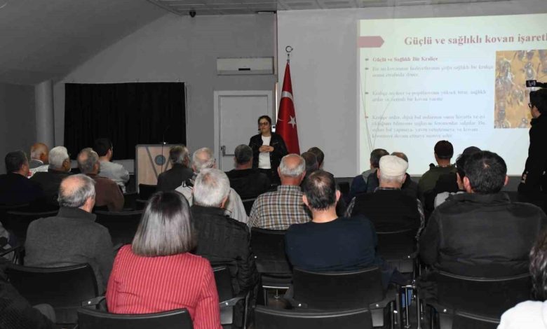 balikesir buyuksehirden aricilari bir araya getiren panel d538dfa8267b |