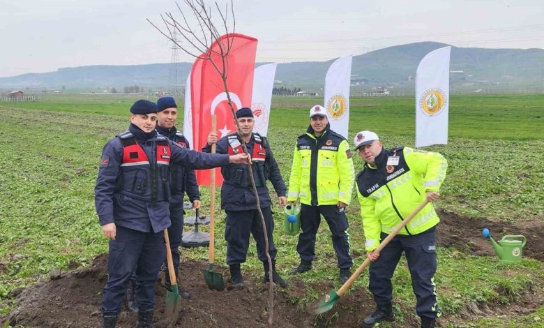 balikesirde agaclandirma calismalari devam ediyor 4646b108dd26 |