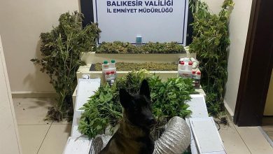 bandirmada zehir tacirlerine gecit yok 1 gozalti fb02a2b30c3b |