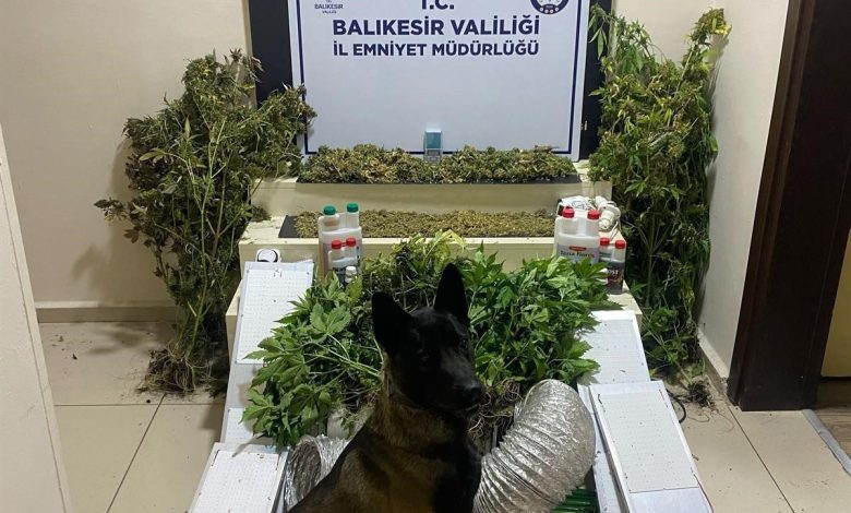bandirmada zehir tacirlerine gecit yok 1 gozalti fb02a2b30c3b |