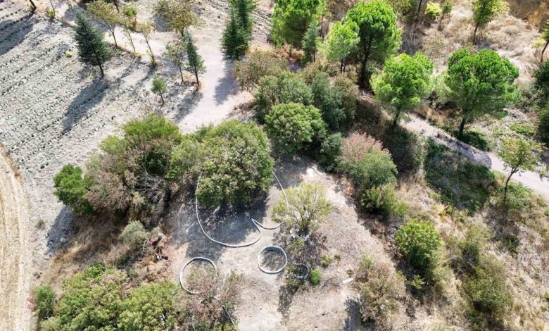 botanik bahcesi yeni buyumeye devam ediyor a5bb20d1d229 |