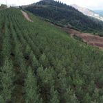 cengiz holdingin sanayi sirketleri sifir atik vizyonuyla geri donusume destek verdi 791c59604696 |