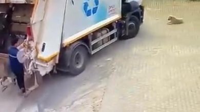 cigli belediyesi cop kamyonu kopegi ezdi durmadan yoluna devam etti 6d66d5fd2799 |