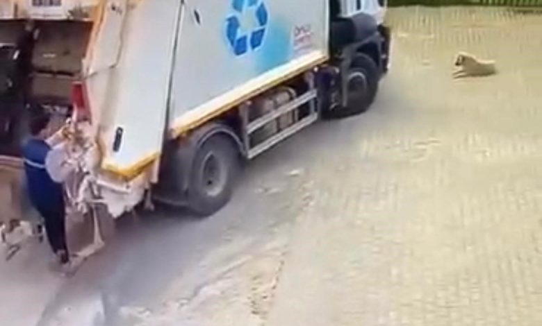 cigli belediyesi cop kamyonu kopegi ezdi durmadan yoluna devam etti 6d66d5fd2799 |