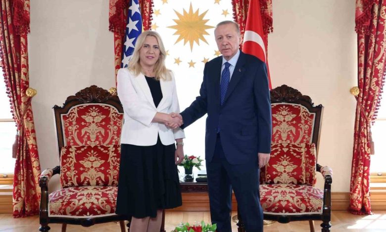 cumhurbaskani erdogan bosna hersek devlet baskanligi konseyi baskani sviyanovic ile gorustu fba22b333b75 |