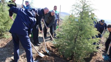 dunya ormancilik gununde canakkalede 4 bin fidan toprakla bulustu 0366c556a096 |