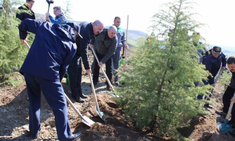 dunya ormancilik gununde canakkalede 4 bin fidan toprakla bulustu 0366c556a096 |