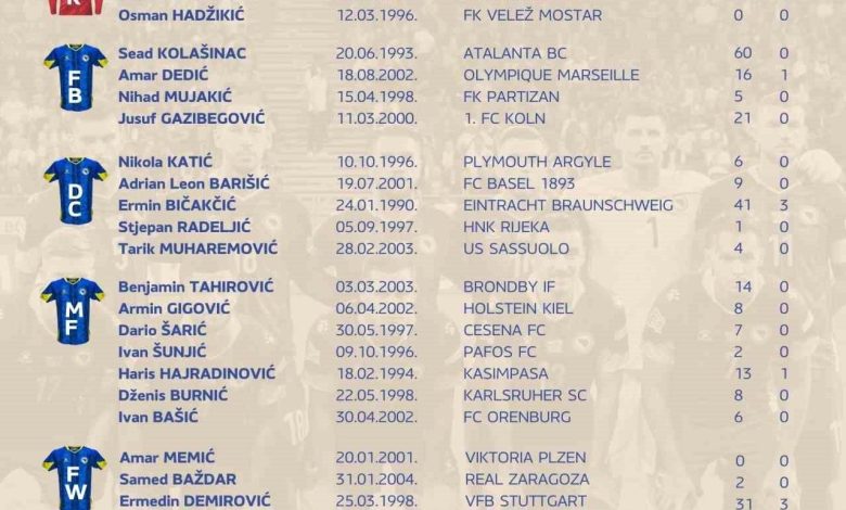 edin dzeko ve hajradinovice milli davet 50a7b1d7834d |