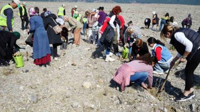 edremitte aile yili kapsaminda lavanta fidani dikildi 5eaabcf7a12b |