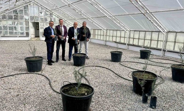 Edremit’te yeni yerli zeytin çeşidi tescillendi 1 edremitte yeni yerli zeytin cesidi tescillendi 7fb559b85699 |