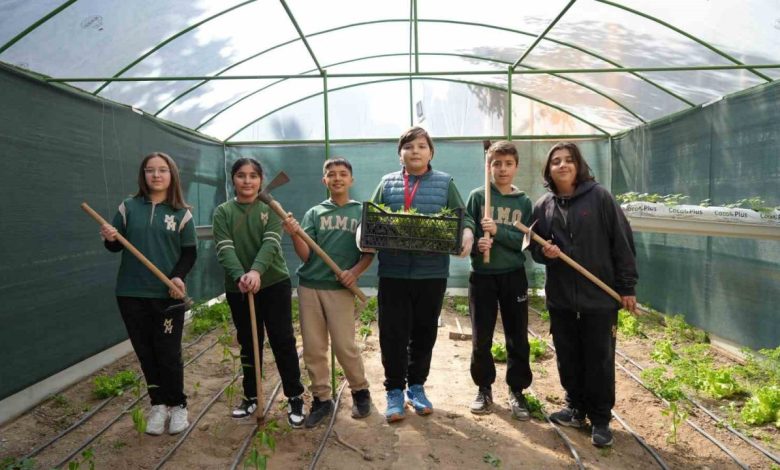 ekolojik okul 839093ccc2b8 |