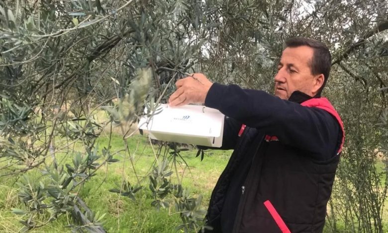 havranda zeytin guvesi alarmi af092da7e0d9 e1742982380863 |