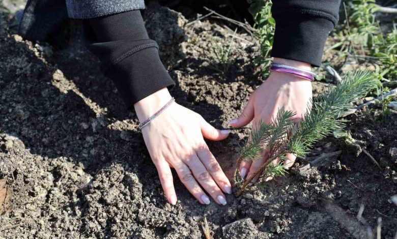 izmir ekonomiden kadin calisanlarina hatira ormani 527ecbaa0b7f |