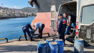 izmirde yasadisi yollarla avlanan deniz patlicanlari denize salindi 4105de3dc707 |