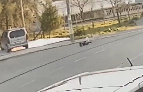 izmirde yine sokak kopegi yine cocuga saldiri db1102a3e153 |