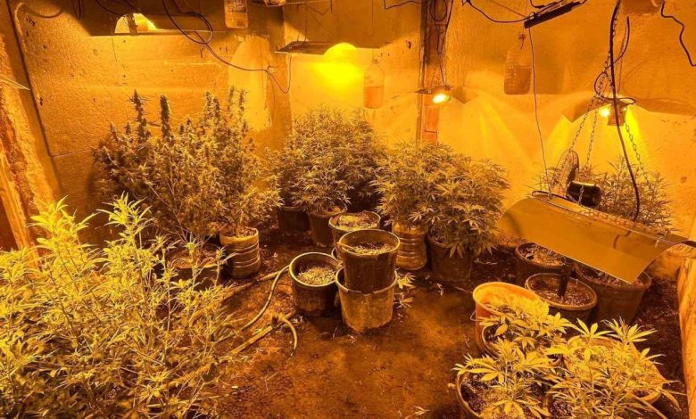 izmirde zehir tacirlerine operasyon 18 gozalti e383e2923ecf |