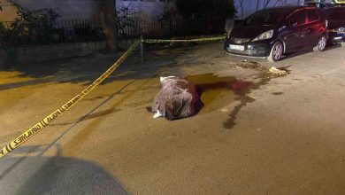 kadikoyde cop kamyonunun altinda kalan yasli kadin hayatini kaybetti c7a07c0b38e1 |