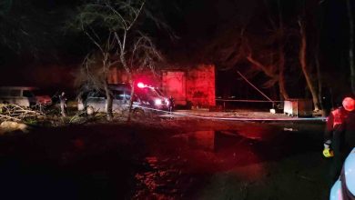 kagithanede 2 gun once kaybolan kadin belgrad ormaninda araniyor a4399dbe5906 |