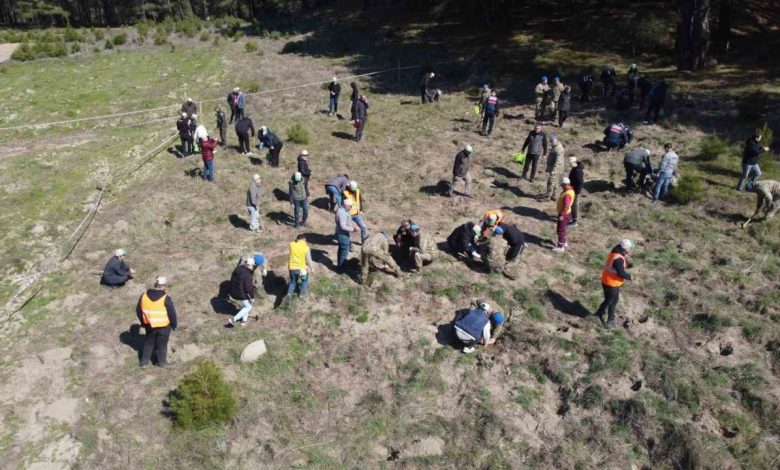 kazdaglarinda dunya ormancilik gununde bin fidan toprakla bulustu 97bb30a99efd |