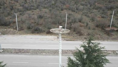 leylek apartmani sakinleri yuvalarina dondu f29f696a300f |