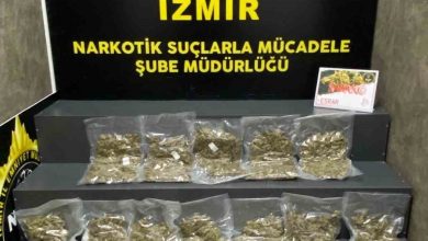 otomobildeki uyusturucular narkotik kopegine yakalandi ee8e87182fb7 |