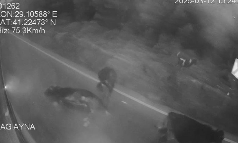 Sarıyer’de İETT otobüsü ile hafif ticari aracın çarpıştığı kaza güvenlik kamerasında 1 sariyerde iett otobusu ile hafif ticari aracin carpistigi kaza guvenlik kamerasinda ae2dd31f973c |