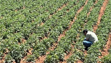 turk girisimcilerden sahra colunde tarim projesi abc814610b9d |