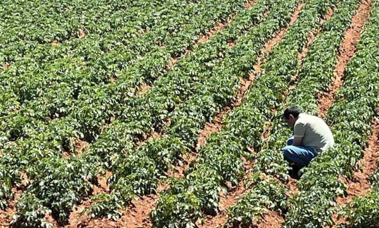 turk girisimcilerden sahra colunde tarim projesi abc814610b9d |