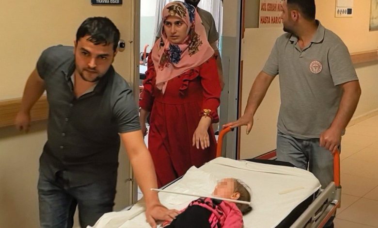 2 yasindaki cocugun cenesine aski saplandi 5b6542b8b484 |