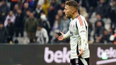2025 yilinin en suskunu ciro immobile 7fe8986ce53e |