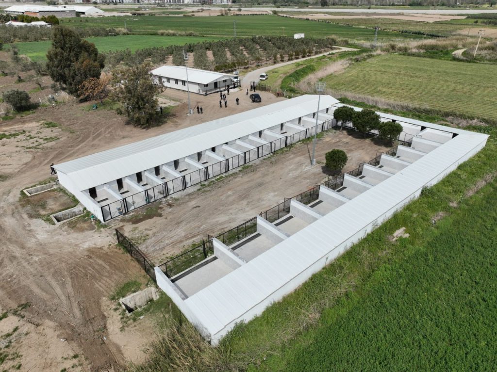 EDREMITTE SOKAK HAYVANLARI ICIN REHABILITASYON MERKEZI ACILIYOR 1 |