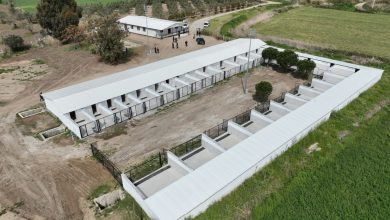 EDREMITTE SOKAK HAYVANLARI ICIN REHABILITASYON MERKEZI ACILIYOR 1 |