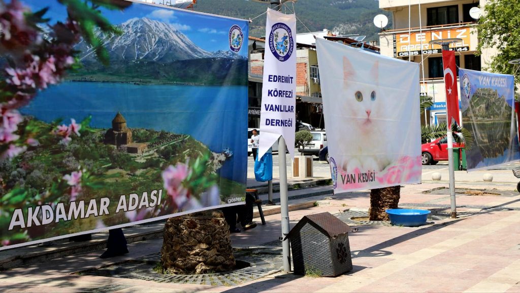 WhatsApp Gorsel 2025 04 21 saat 16.02.11 ee40a10e |