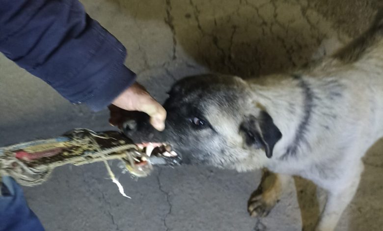 WhatsApp Gorsel 2025 04 26 saat 09.22.57 426a8894 |