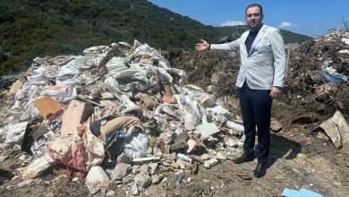 ak partili arslandan urladaki cevre katliamina tepki 21ac10742a8f |