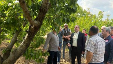 ak partili kirkpinar zirai don yasanan bolgelerde incelemelerde bulundu a45d7216ba64 |