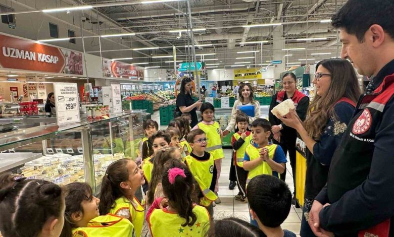 anaokulu ogrencileri sutun seruvenini inceledi 6c6cffbf4111 |