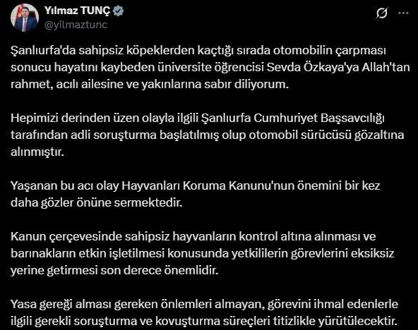 bakan tunctan sanliurfada sahipsiz kopeklerden kacarken olen kizin ailesine bassagligi mesaji 6efab0766e45 |