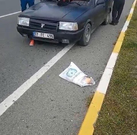Balıkesir’de otomobilin çarptığı 92 yaşındaki kadın ağır yaralandı 1 balikesirde otomobilin carptigi 92 yasindaki kadin agir yaralandi 31375ffe1c0f |