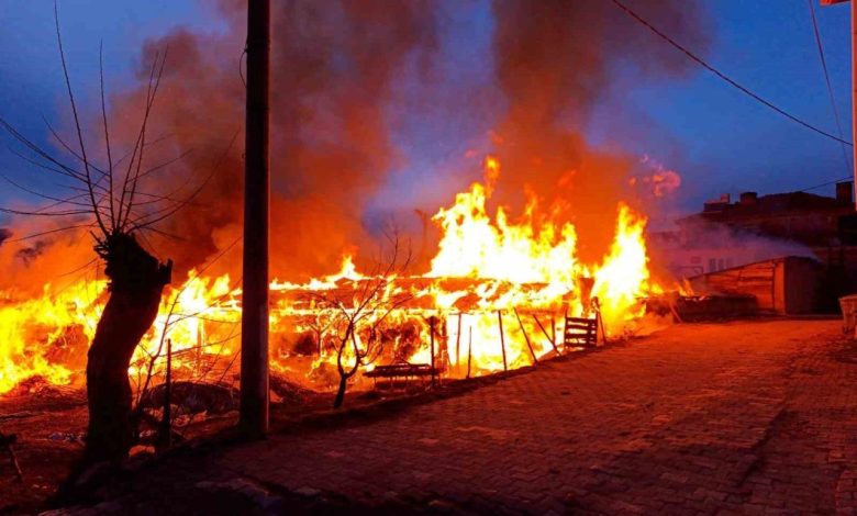 bursada bir koye panik yasatan yangin 67b101d86c40 |