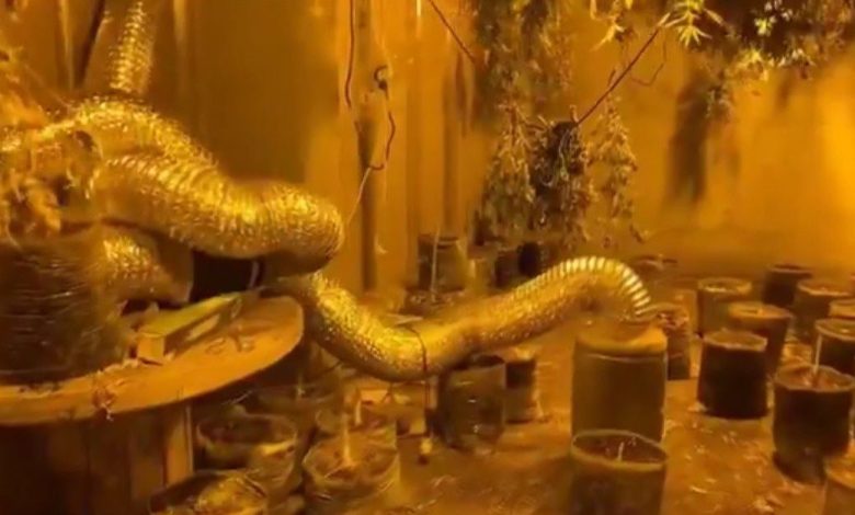 Bursa’da dev operasyon: 24 şüpheli yakalandı, 25 kilo uyuşturucu ele geçirildi 1 bursada dev operasyon 24 supheli yakalandi 25 kilo uyusturucu ele gecirildi e4fa1c002940 |