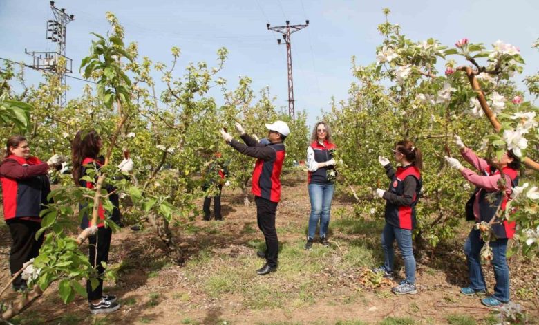 Çanakkale’de Elma İç Kurduna Karşı Biyoteknik Mücadele Yaygınlaşıyor 1 canakkalede elma ic kurduna karsi biyoteknik mucadele yayginlasiyor 8bca96dbe071 |