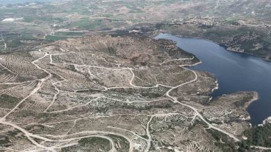 canakkalede yanan ormanlar yangina dayanikli fidanlarla yeniden yeserdi 072a136ef9d7 |