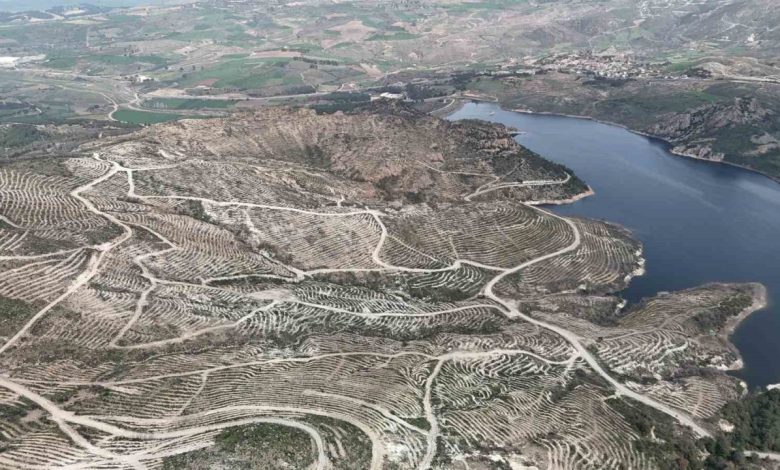 Çanakkale’de yanan ormanlar yangına dayanıklı fidanlarla yeniden yeşerdi 1 canakkalede yanan ormanlar yangina dayanikli fidanlarla yeniden yeserdi 072a136ef9d7 |