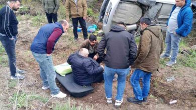 catalcada arac agaca saplandi 1 yarali 287af6ccb8ea |