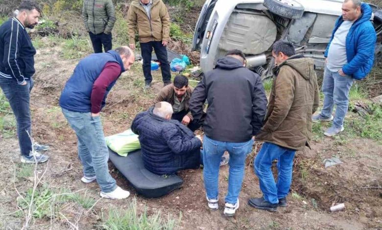 catalcada arac agaca saplandi 1 yarali 287af6ccb8ea |
