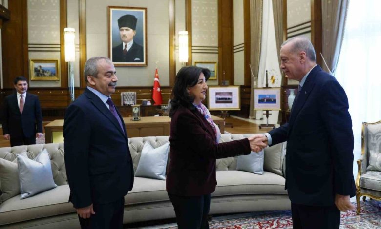 cumhurbaskani erdogan dem parti heyetini kabul etti 30d3bed8c38b |