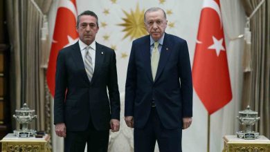 cumhurbaskani erdogan fenerbahce spor kulubu baskani kocu kabul etti 8618248ed006 |
