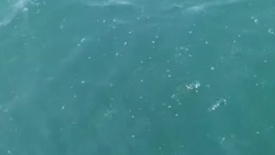 depreme denizde yakalandilar marmara aciklarinda bir gurultu koptu tekne sallandi 3150d7185def |